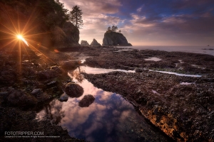 Shi Shi Beach Landscape Photography