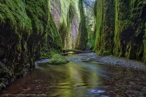 Photography Guide to Oneonta Gorge