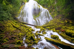 Proxy Falls Photo Guide