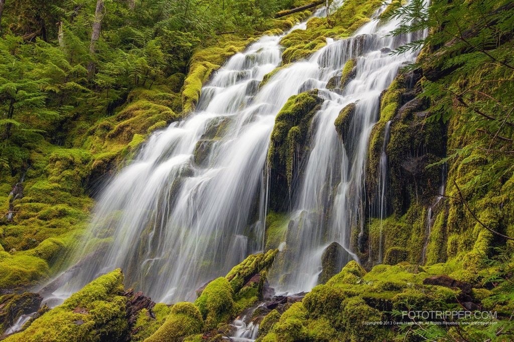 Upper Proxy Falls Photo Tips, Oregon - Fototripper