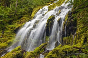 Upper Proxy Falls Photo Tips