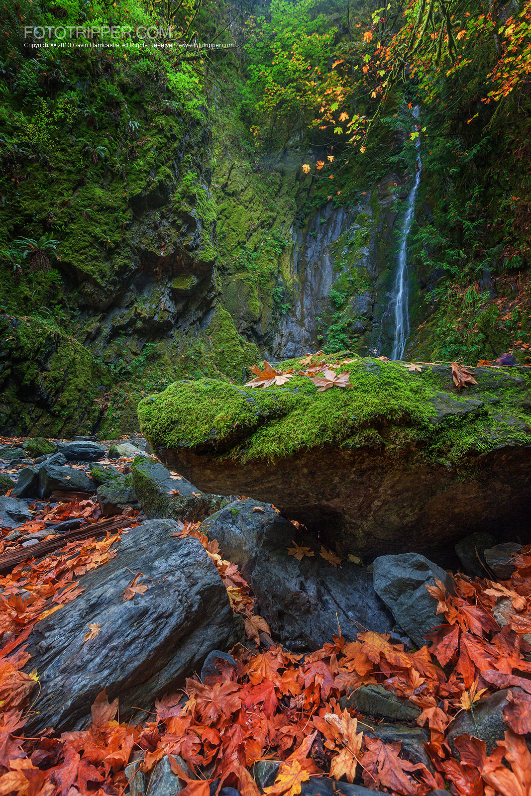 8 Fantastic Fall Photography Tips