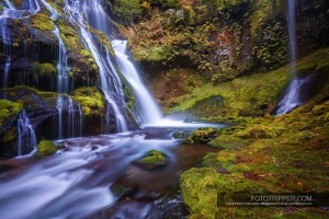 Panther Creek Falls Photography Guide