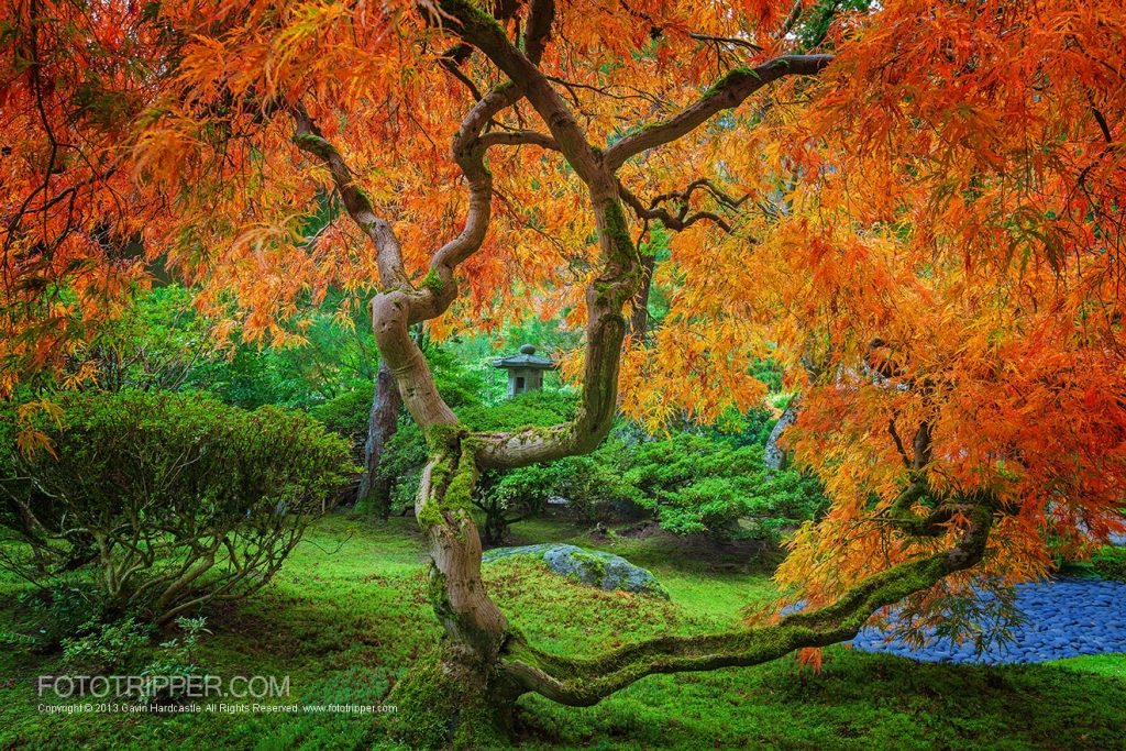 How To Shoot Portland Japanese Garden - Fototripper